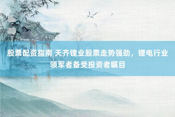 股票配资指南 天齐锂业股票走势强劲，锂电行业领军者备受投资者瞩目
