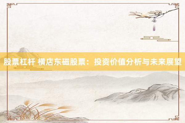 股票杠杆 横店东磁股票：投资价值分析与未来展望