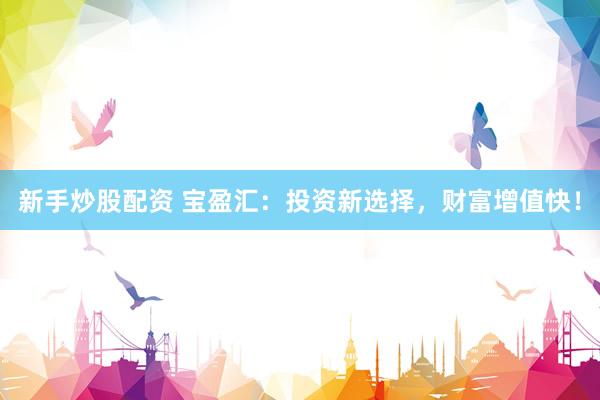 新手炒股配资 宝盈汇：投资新选择，财富增值快！