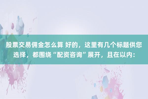 股票交易佣金怎么算 好的，这里有几个标题供您选择，都围绕“配资咨询”展开，且在以内：