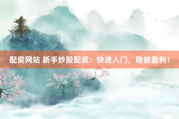 配资网站 新手炒股配资：快速入门，稳健盈利！