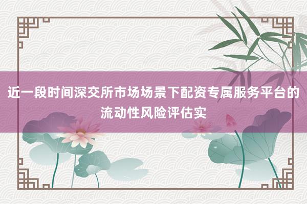 近一段时间深交所市场场景下配资专属服务平台的流动性风险评估实